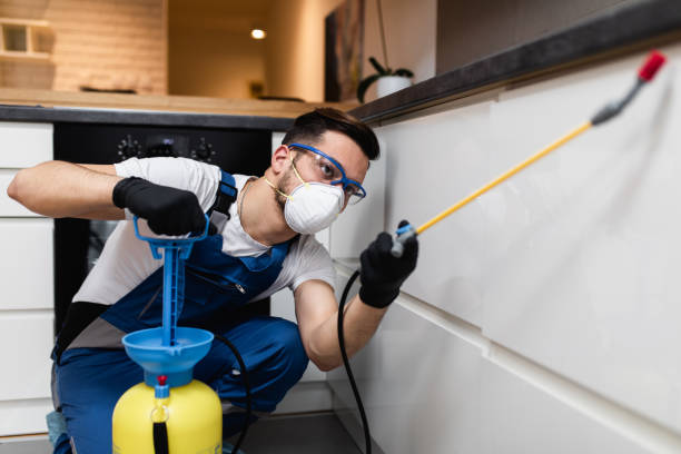 Best Pest Prevention Services  in Dulce, NM