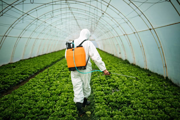 Pest Control Cost in Dulce, NM