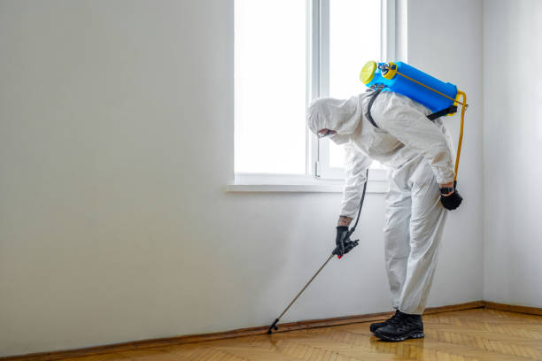 Best Pest Control Near Me in Dulce, NM