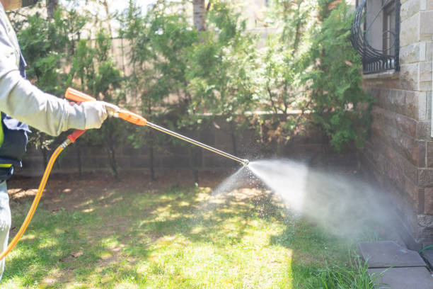 Best Commercial Pest Control Services  in Dulce, NM