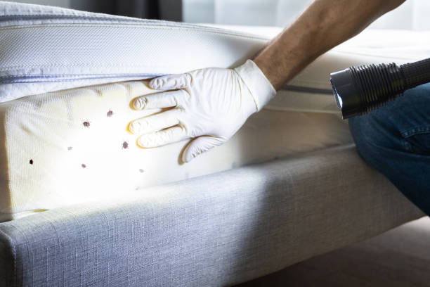 Best Wildlife Control Services  in Dulce, NM