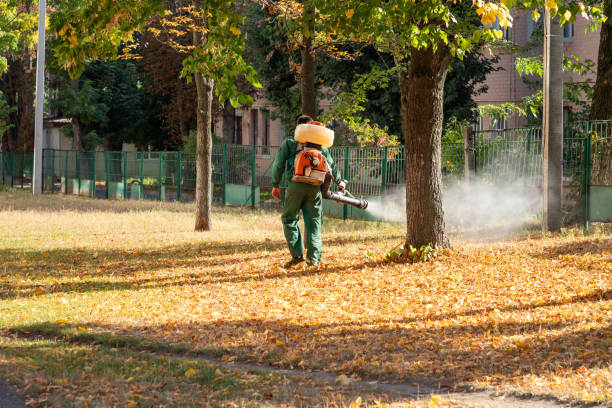 Best Pest Control for Homes  in Dulce, NM