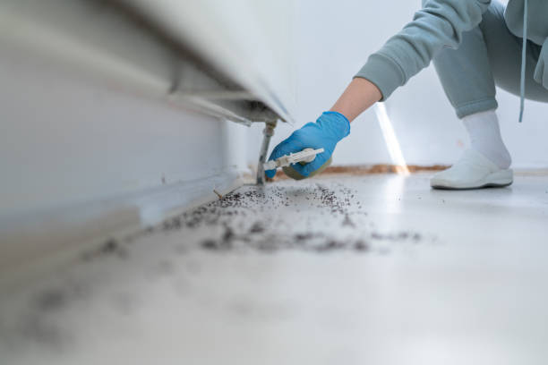 Best Pest Removal Services  in Dulce, NM